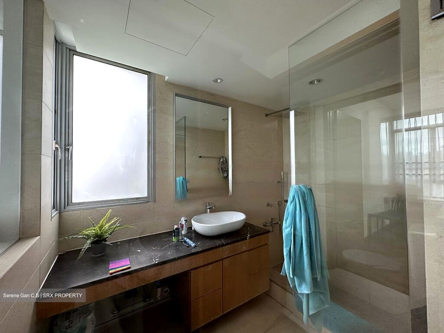 The Lakeshore (D22), Condominium #479696261